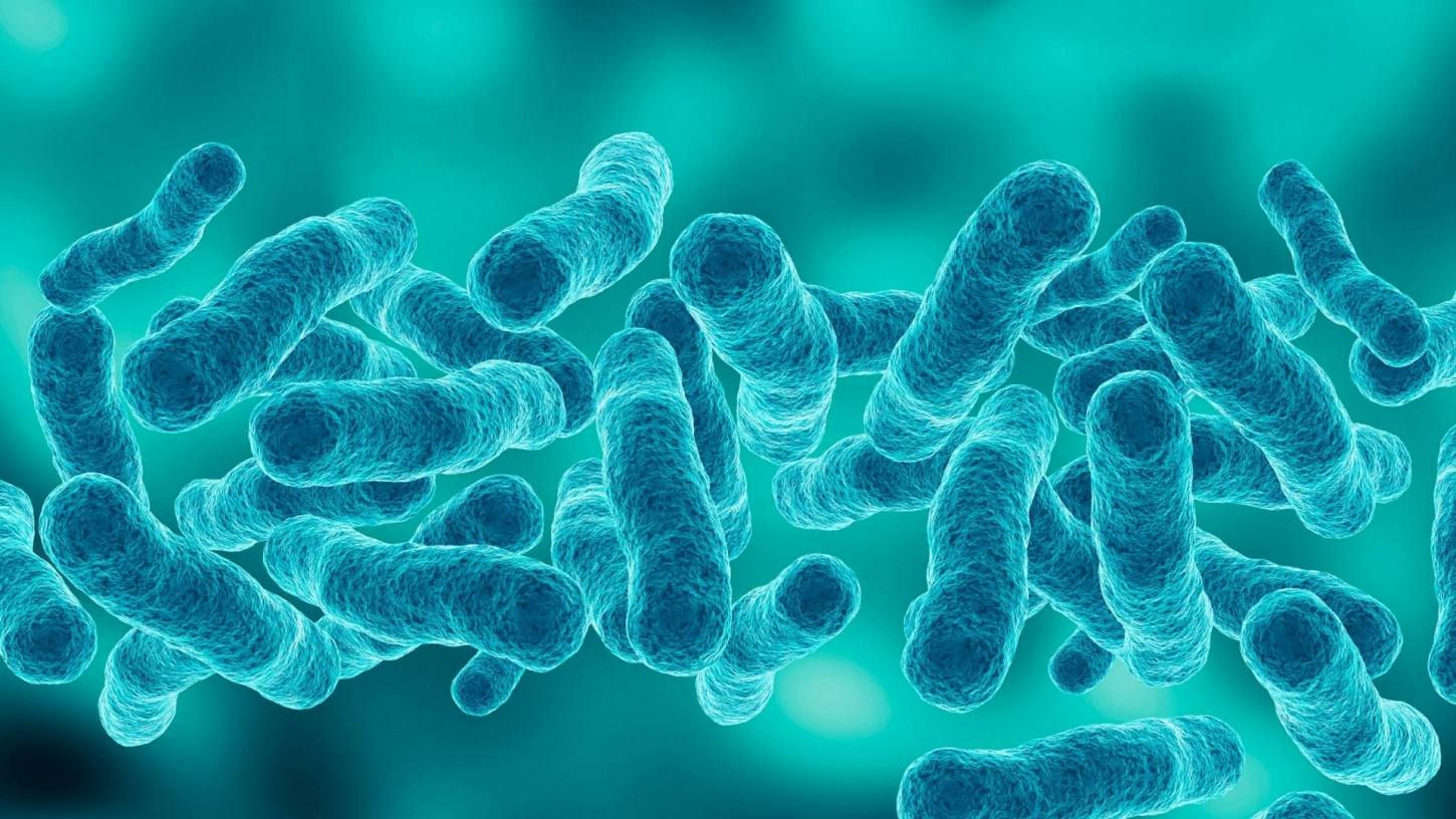 Legionella Analizi - Sıcak ve Soğuk Su Sistemleri ve Depoları