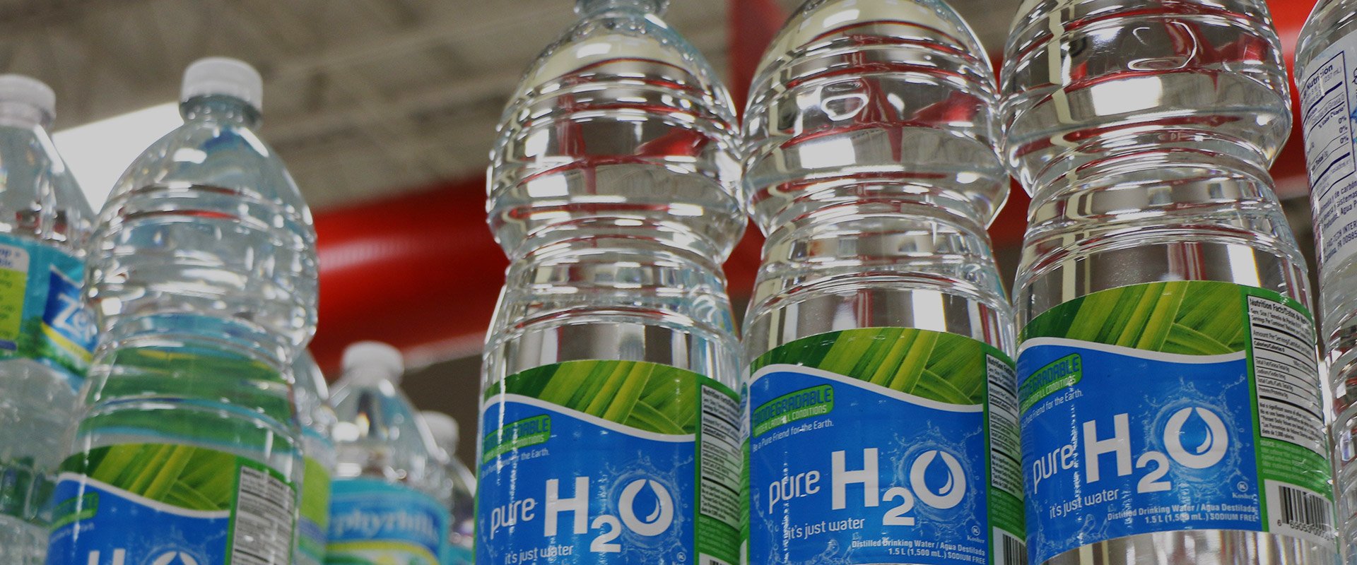 Bisfenol A (BPA) Free Belgesi