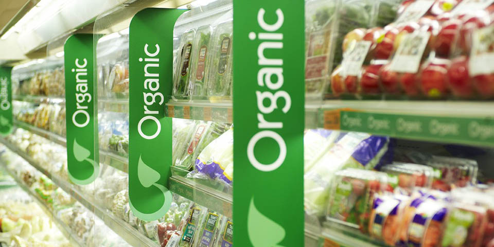 ECO Food Organik Gıda Belgelendirmesi