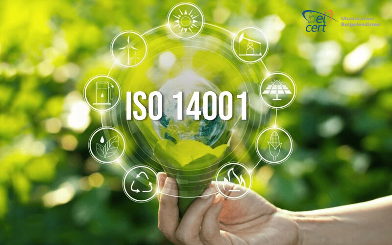 ISO 14001 Çevre Yönetim Sistemi Belgelendirmesi