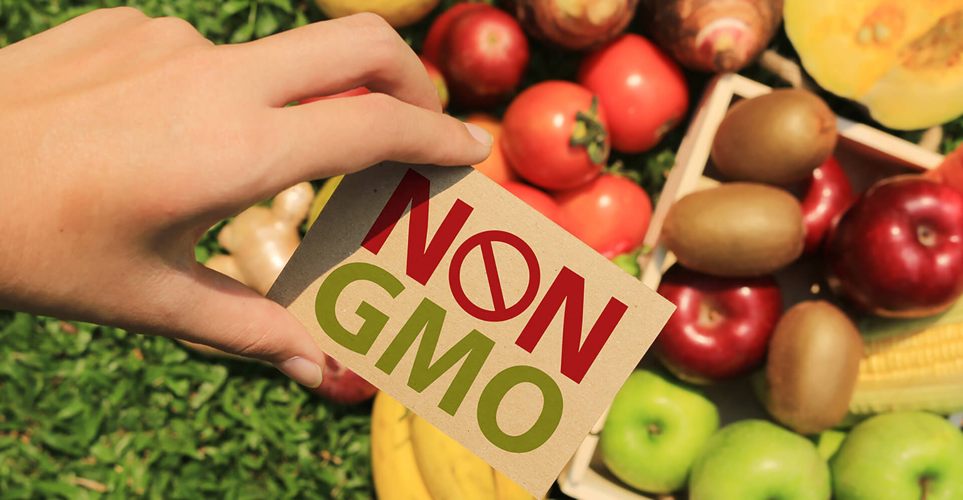 NON-GMO / GMO Free GDO İçermez Belgelendirmesi